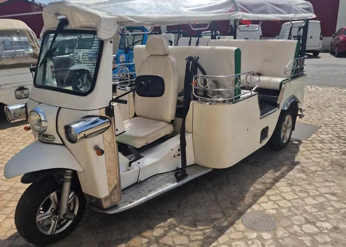 D I N مكان تخييم